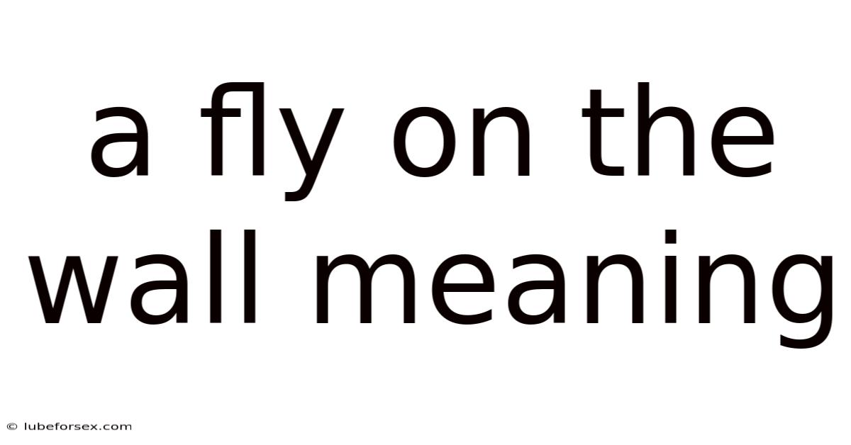 A Fly On The Wall Meaning