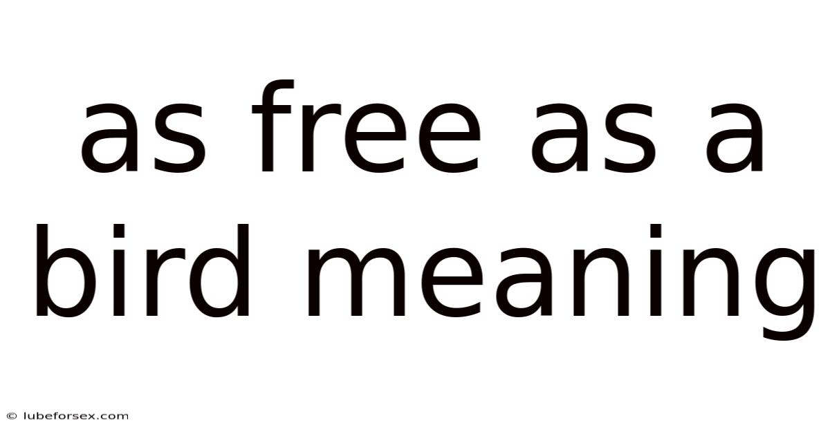 As Free As A Bird Meaning