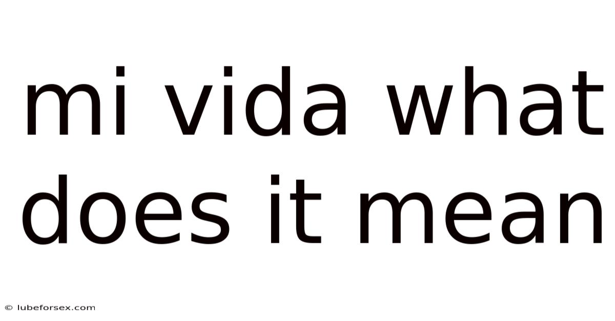 Mi Vida What Does It Mean