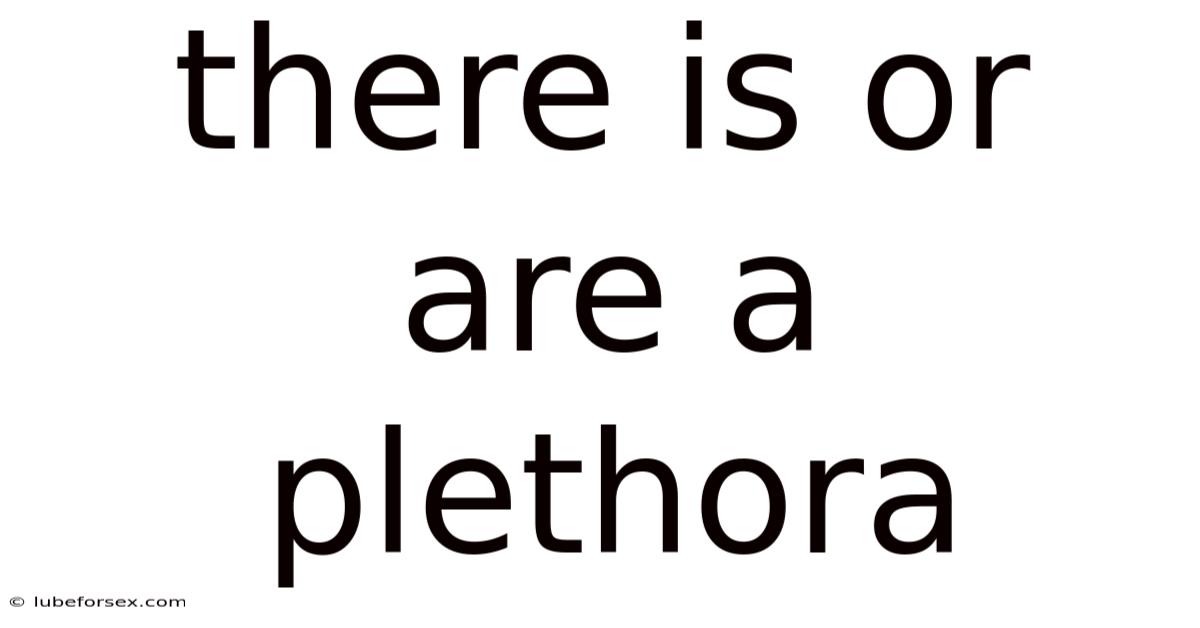 There Is Or Are A Plethora