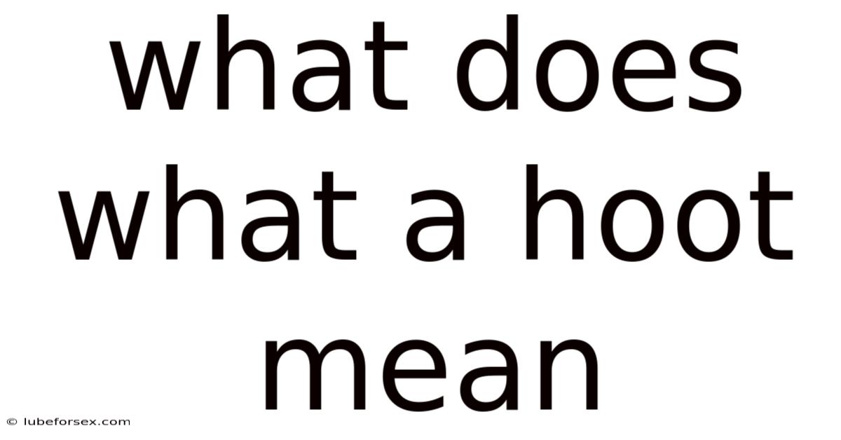 What Does What A Hoot Mean