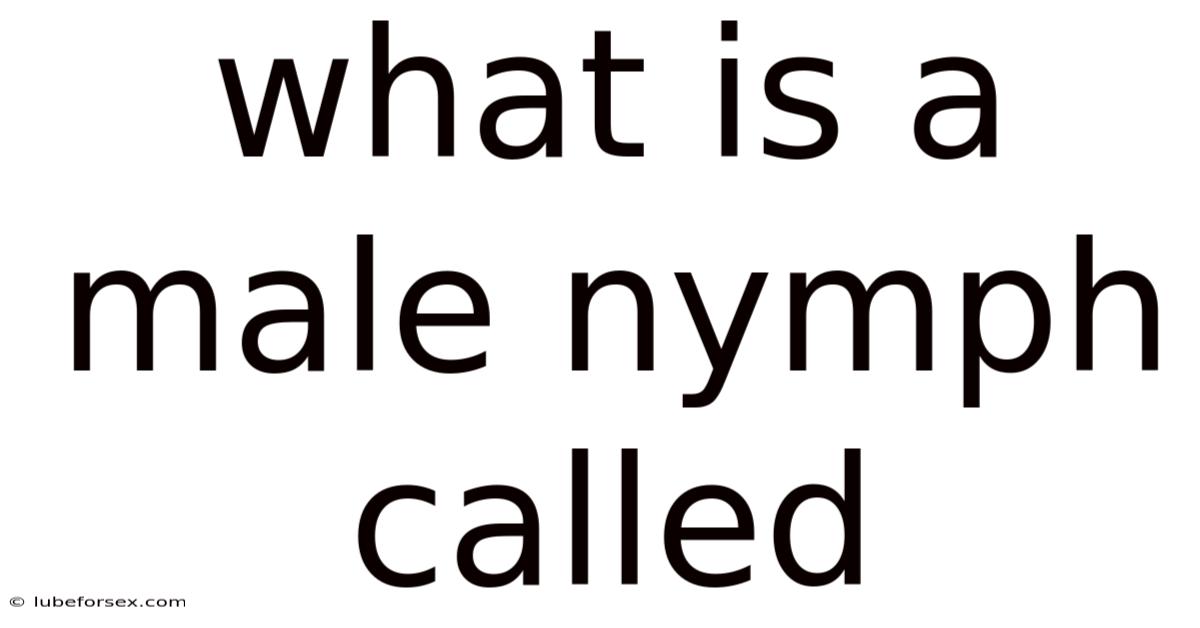 What Is A Male Nymph Called