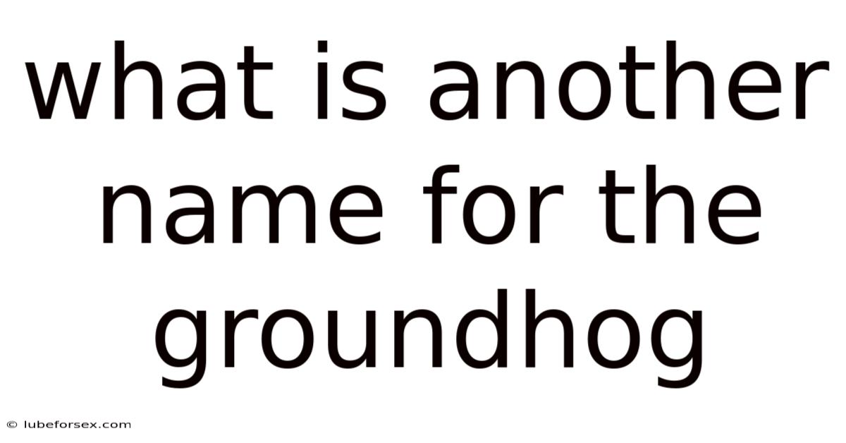 What Is Another Name For The Groundhog