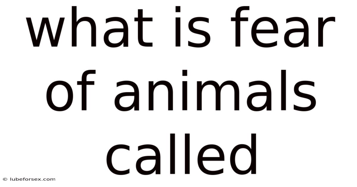 What Is Fear Of Animals Called