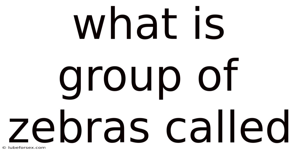 What Is Group Of Zebras Called
