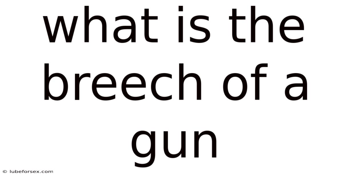 What Is The Breech Of A Gun