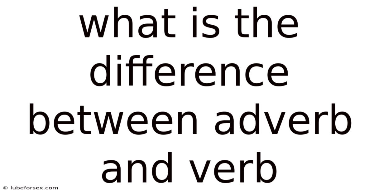 What Is The Difference Between Adverb And Verb