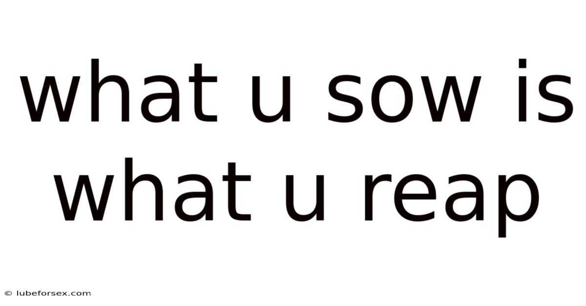 What U Sow Is What U Reap