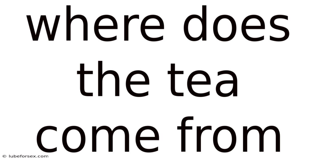 Where Does The Tea Come From