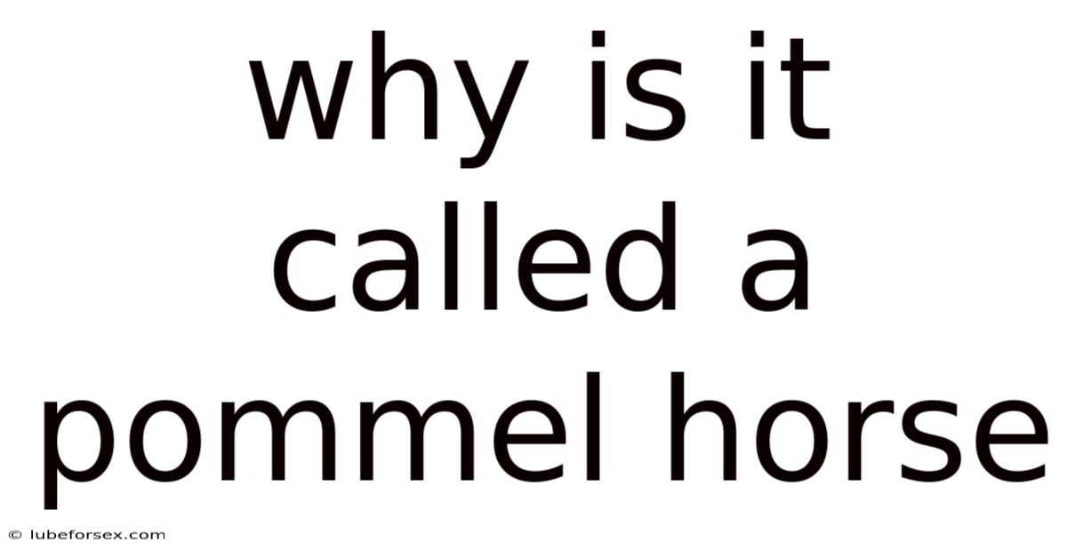 Why Is It Called A Pommel Horse